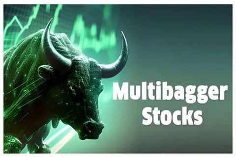 multibagger