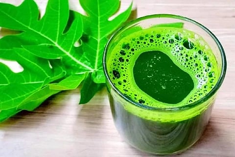 papaya leaves juice