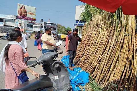 sankranti celebration siddate