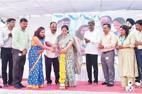 vikasita