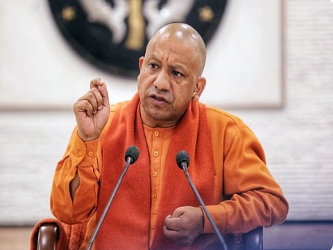 yogi