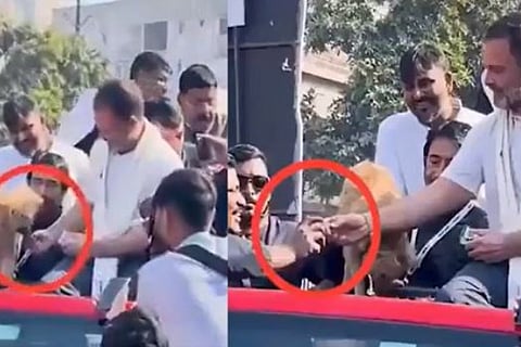 rahul gandi