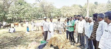 10ss2jaanuvaru