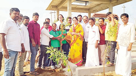 TREE