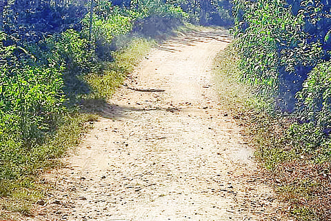ದಶಕಗಳಿಂದ ಅಭಿವೃದ್ಧಿ ಕಾಣದ ರಸ್ತೆ