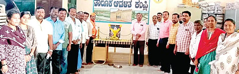 19 KAMPLI 01