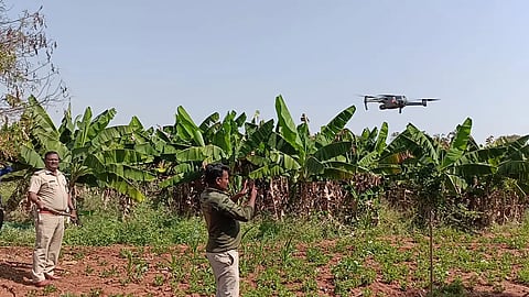 8 GJD-1 leopard
