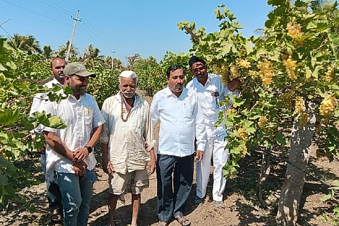 Adopt organic farming system