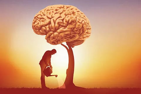 Brain Mind