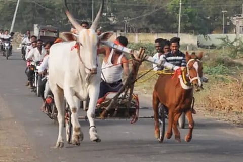Cars are the cultural symbol of the country