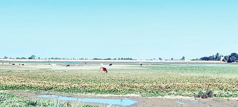 Navalur LAKE