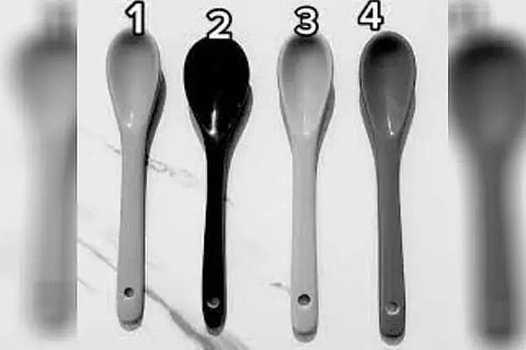Red Color Spoon