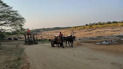 Sand Mafiya-1