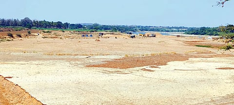 Sand Mafiya
