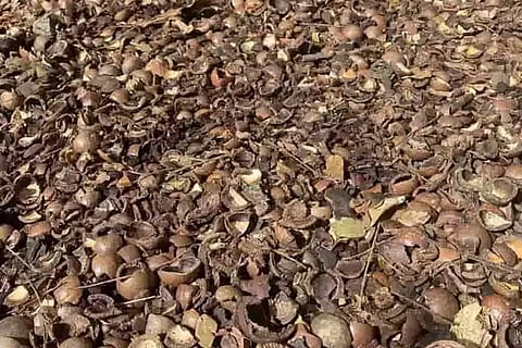 Spot the Key