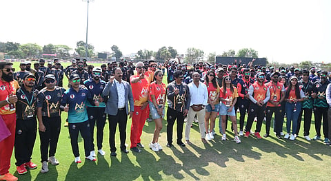 TPL Cricket 3