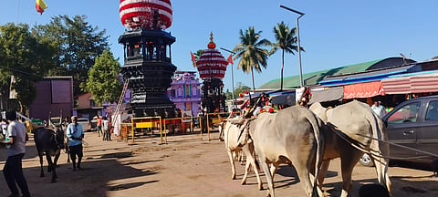Ulavi-Jatra-scaled
