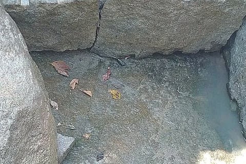 Untitled design (21)