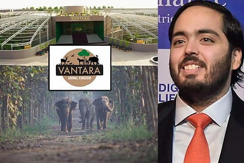 Vantara Anant Ambani