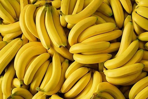 banana