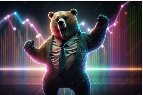 bear-1