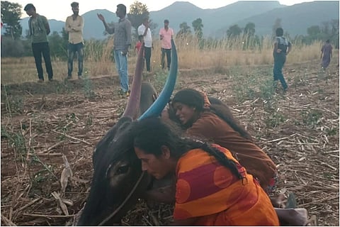 chamrajngara