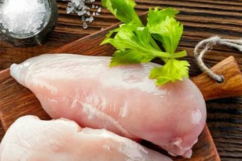 chicken