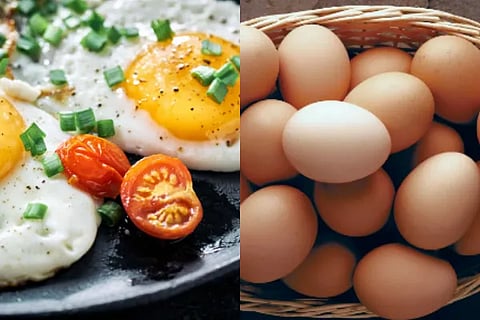 egg