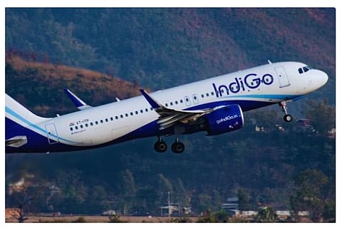 indigo