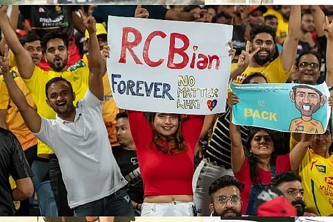 ipl bang web