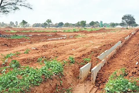 karanta layout
