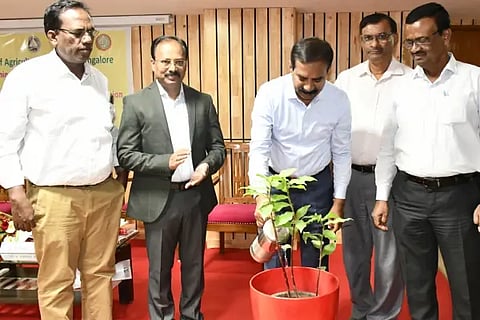 krishi university