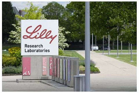 lilly
