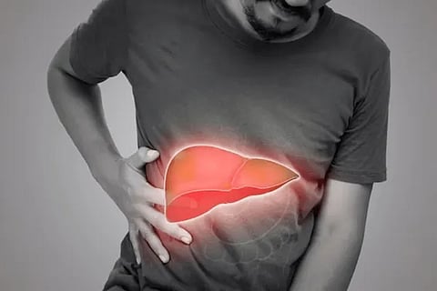 liver new