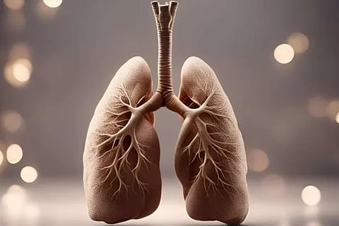 lungs new