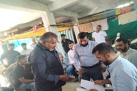 mla