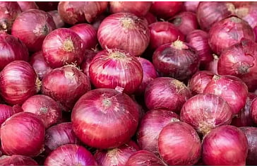 onion