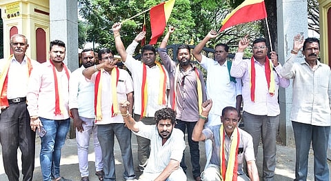 protest