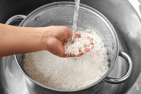 rice