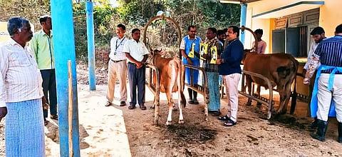 skp animal