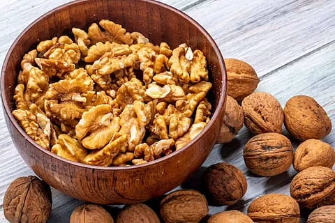 walnut