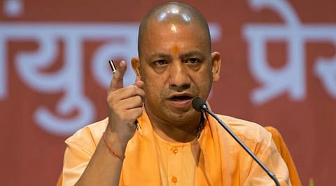yogi