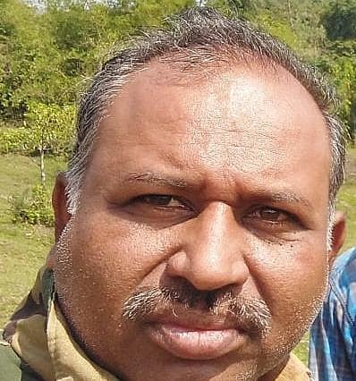 ಮರಗಳ್ಳರೊಂದಿಗೆ ಶಾಮೀಲಾದ ಡಿಆರ್‌ಎಫ್‌ಒ ಅಮಾನತು