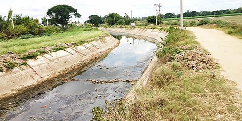 ಬೆಳೆಗೆ ನೀರಿಲ್ಲದೆ ರೈತರು ಹೈರಾಣ