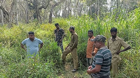 A permanent solution to the tiger menace