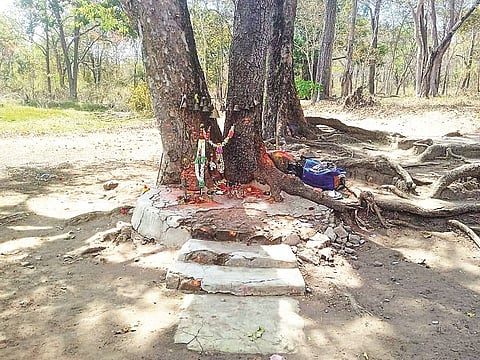 BILLENAHOSALLI CHOUDAMMA
