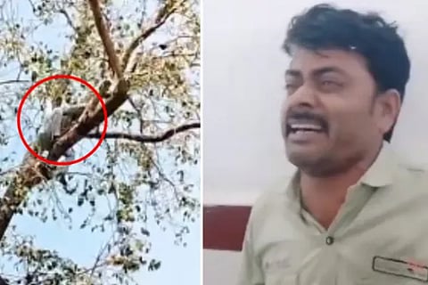 MP Man Attempts Suicide After He Was Charged ₹50 Extra On Beer Bottles