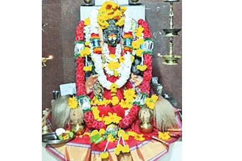 Padmavati Devi Jatra Mahotsava from today