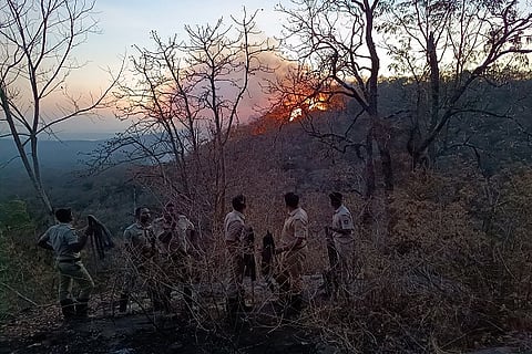 Preparedness for wildfire management