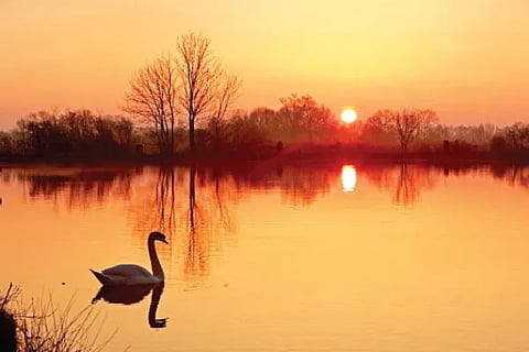 Sunset